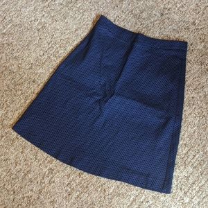 Beautiful Blue Skirt